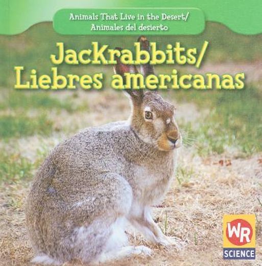 jackrabbits/ liebres americanas