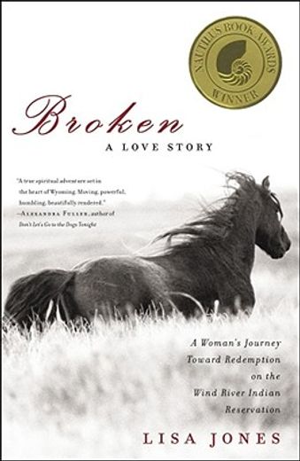 broken,a love story (en Inglés)
