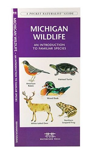michigan wildlife,an introduction to familiar species