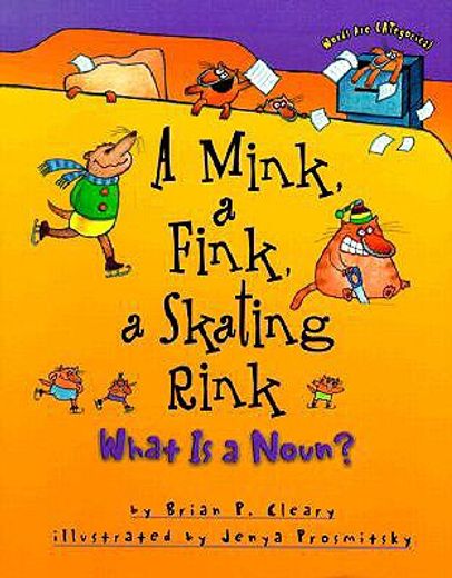 a mink, a fink, a skating rink,what is a noun?