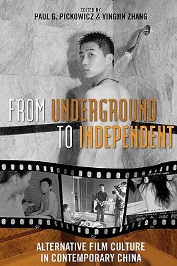 from underground to independent,alternative film culture in contemporary china
