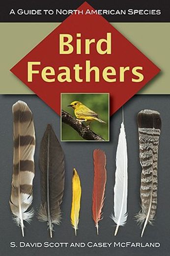 bird feathers,a guide to north american species