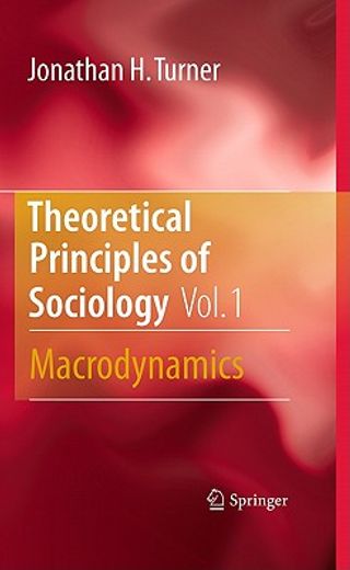 principles of sociological theory, volume 1 (en Inglés)