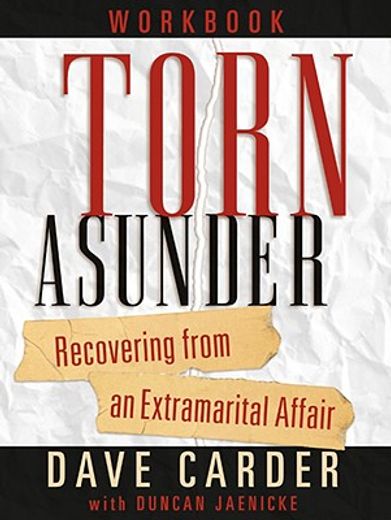 torn asunder,recovering from an extramarital affair (en Inglés)