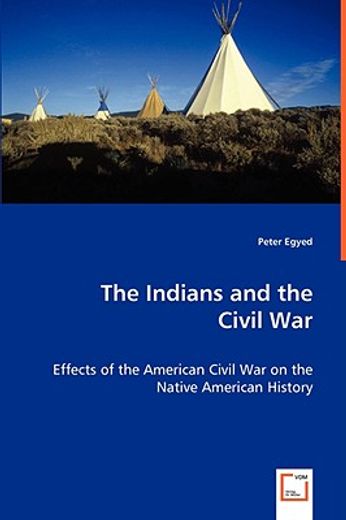 indians and the civil war - effects of the american civil war on the native american history