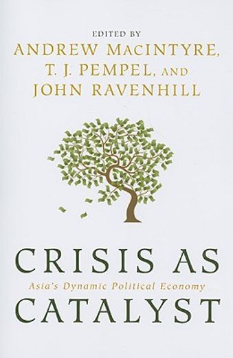 crisis as catalyst,asia´s dynamic political economy