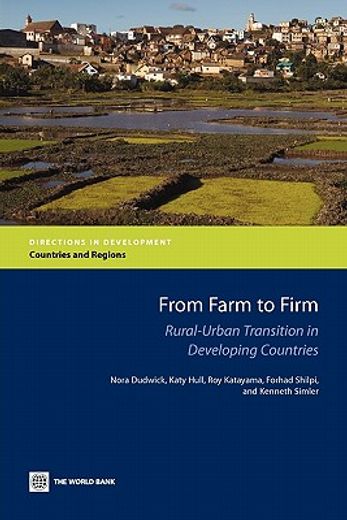 from farm to firm,rural-urban transition in developing countries