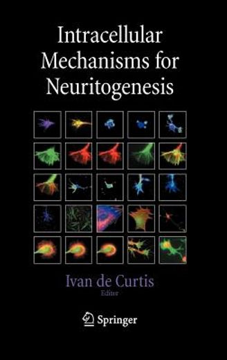 intracellular mechanisms for neuritogenesis