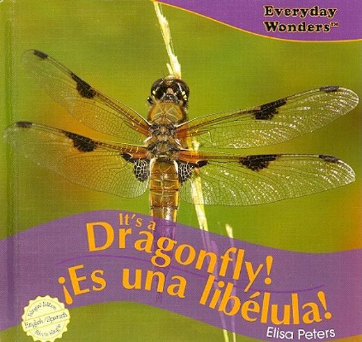 it´s a dragonfly! / ies una libelula!