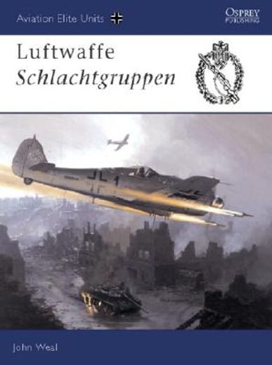 Luftwaffe Schlachtgruppen (en Inglés)