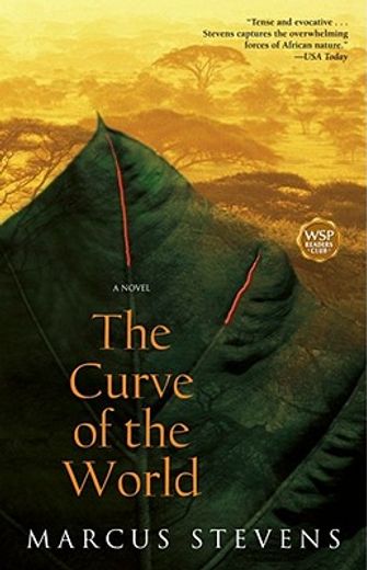 the curve of the world