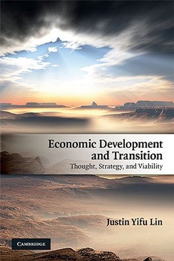 economic development and transition,thought, strategy, and viability