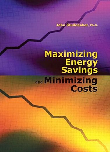 Maximizing Energy Savings and Minimizing Energy Costs (en Inglés)
