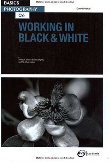 Basics Photography 06: Working in Black & White (en Inglés)