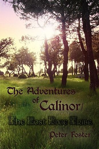 the adventures of calinor / the lost pix