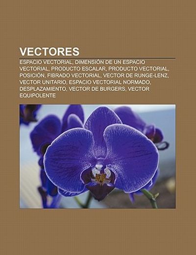 Libro Vectores Espacio Vectorial Dimensi N De Un Espacio Vectorial Producto Escalar Producto 