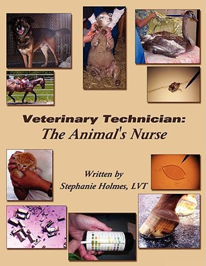 veterinary technician,the animal´s nurse