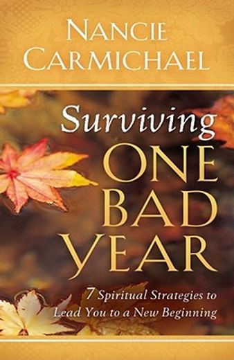 surviving one bad year,spiritual strategies for when life goes terribly wrong