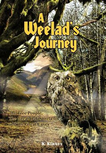 a weelad`s journey (en Inglés)