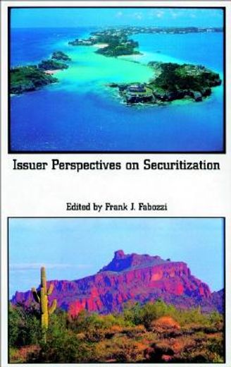 issuer perspectives on securitization
