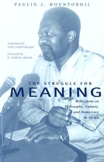 the struggle for meaning,reflections on philosophy, culture, and democracy in africa