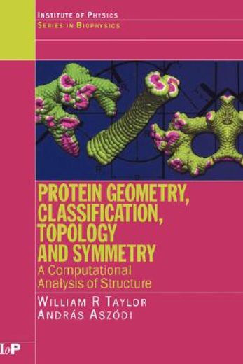 protein geometry, classification, topology and symmetry,a computational analysis of structure