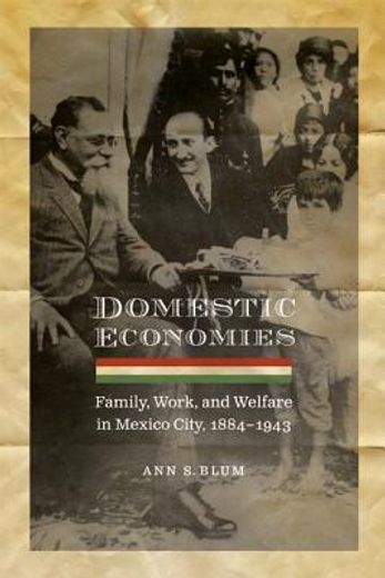 domestic economies,family, work, and welfare in mexico city, 1884-1943
