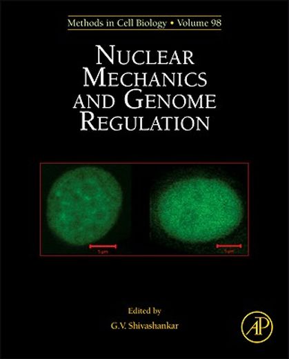 nuclear mechanics & genome regulation