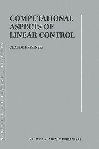 computational aspects of linear control (in English)
