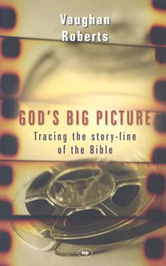 god´s big picture,tracing the story-line of the bible