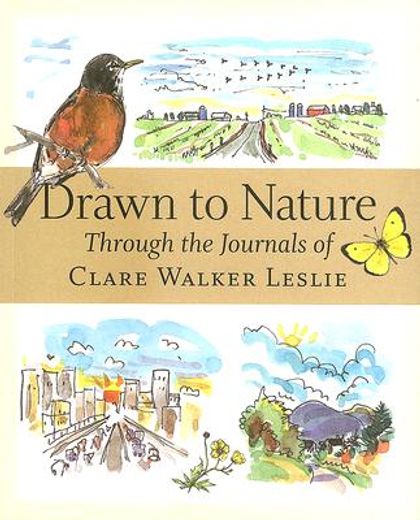 drawn to nature through the journals of clare walker leslie (en Inglés)