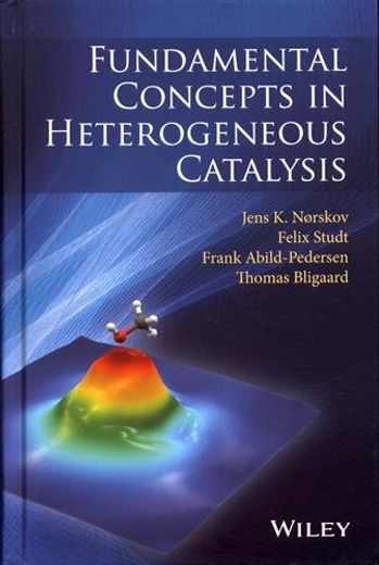 Fundamental Concepts in Heterogeneous Catalysis (en Inglés)