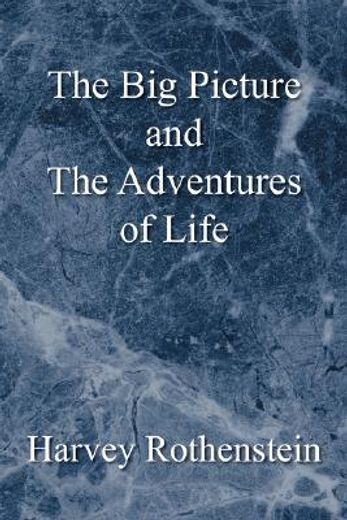the big picture and the adventures of life