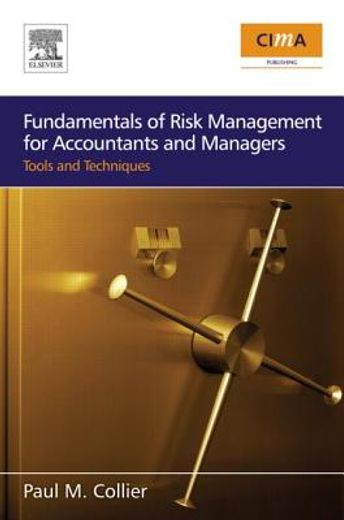 fundamentals of risk management for accountants and managers,tools & techniques