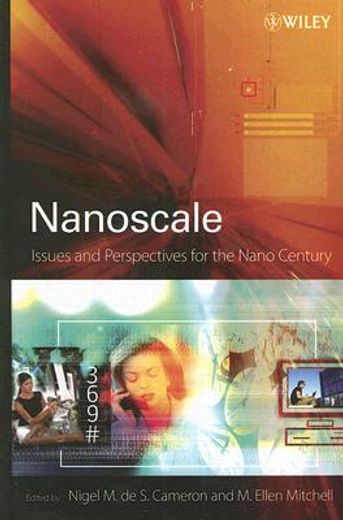 nanoscale,issues and perspectives for the nano century