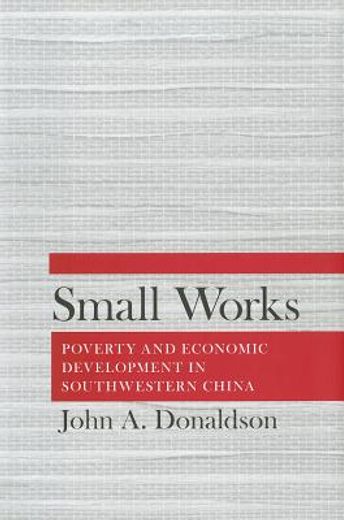 small works,poverty and economic development in southwestern china