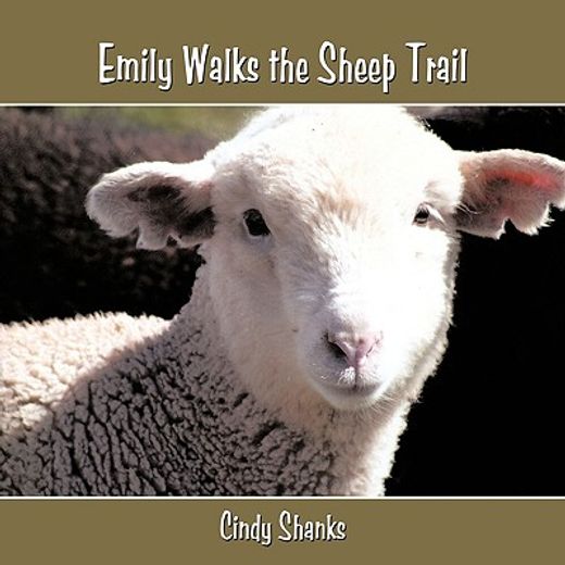 emily walks the sheep trail