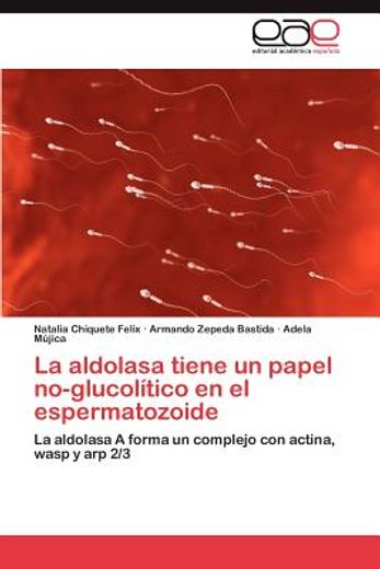 la aldolasa tiene un papel no-glucol tico en el espermatozoide (in Spanish)