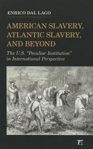 american slavery, atlantic slavery, and beyond,the u.s. peculiar institution in international perspective