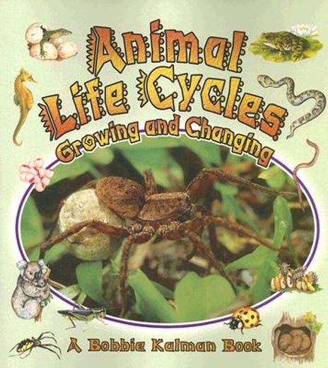 animal life cycles,growing and changing