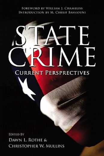 state crime,current perspectives