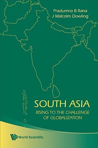 south asia,rising to the challenge of globalization