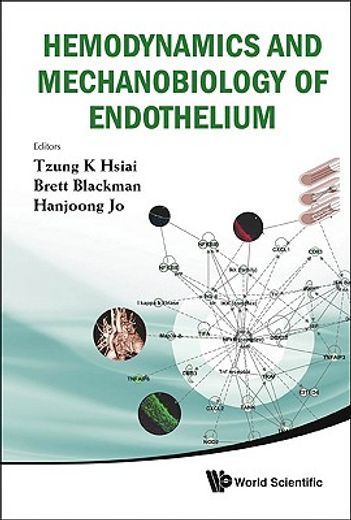 hemodynamics and mechanobiology of endothelium