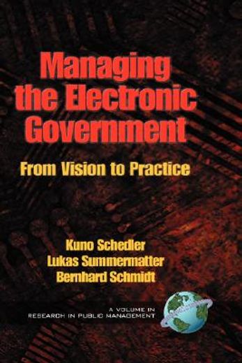 managing the electronic government,from vision to practice