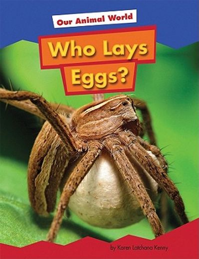who lays eggs? (in English)