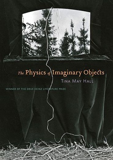 the physics of imaginary objects