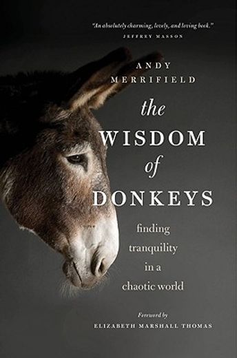 the wisdom of donkeys,finding tranquility in a chaotic world