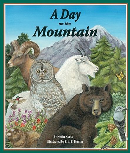 a day on the mountain (in English)
