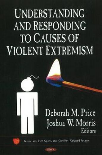 understanding and responding to causes of violent extremism