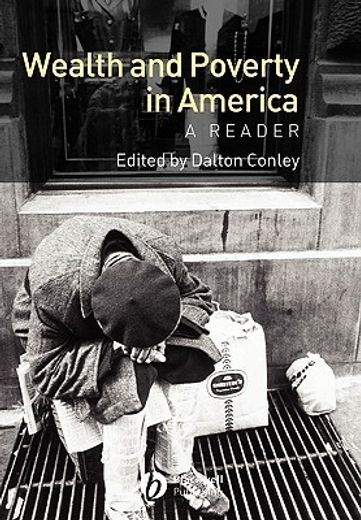 wealth and poverty in america,a reader